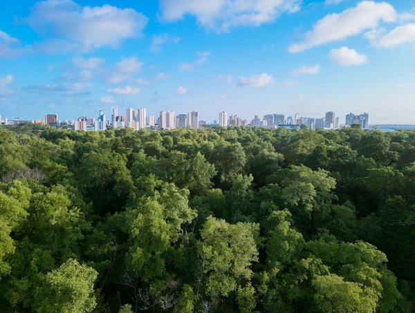 L'histoire de la mode du XXème siècle