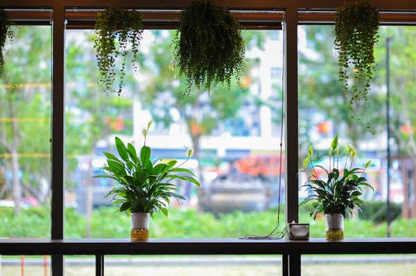 Top boissons à déguster : les nouvelles tendances à découvrir